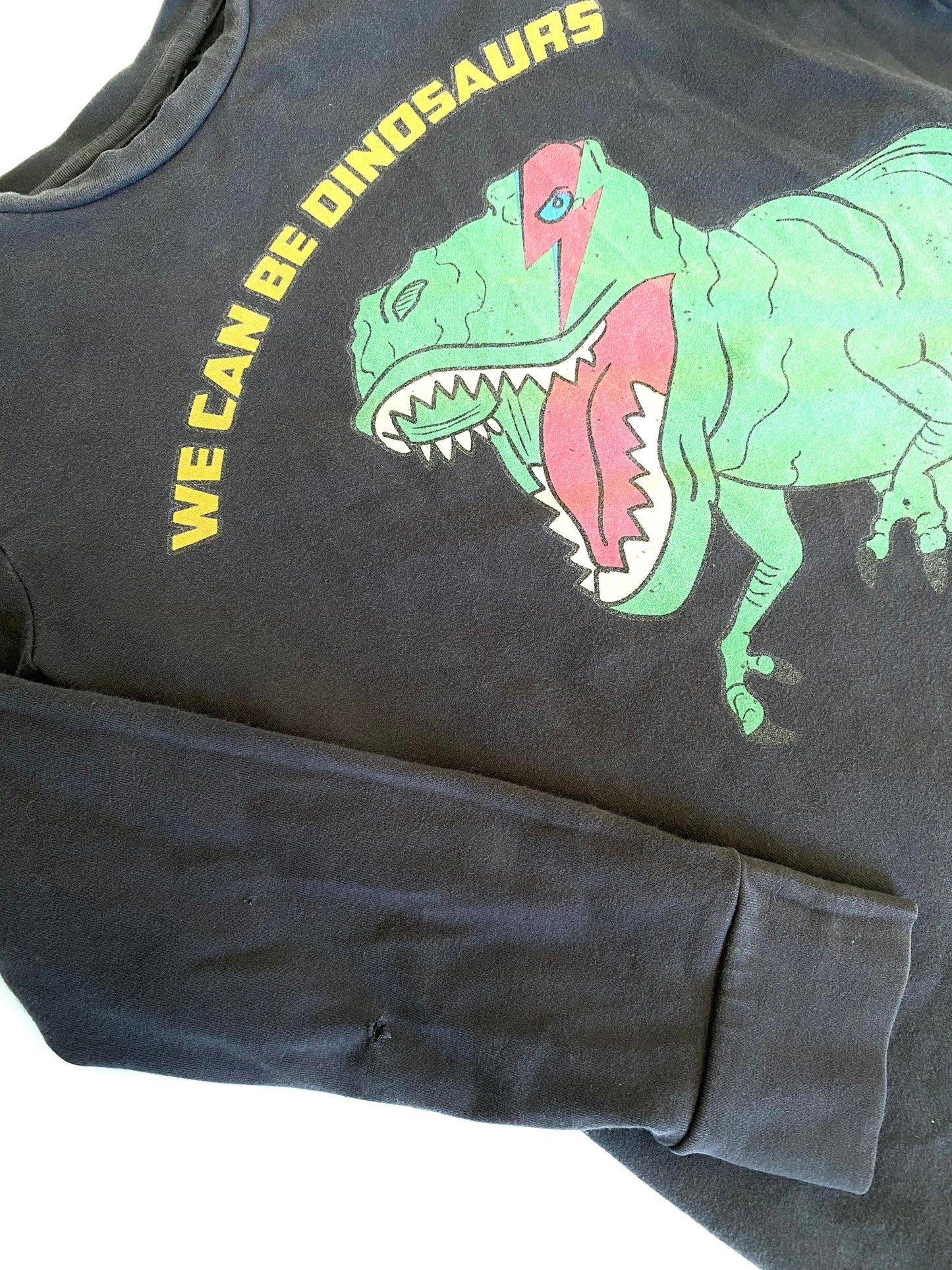 Rock Your Kid We Can Be Dinosaurs Tee (4YR)