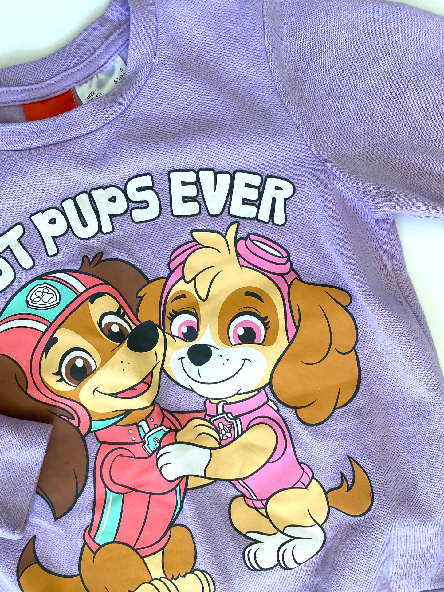 Paw Patrol Best Pups Ever Crew (5YR)