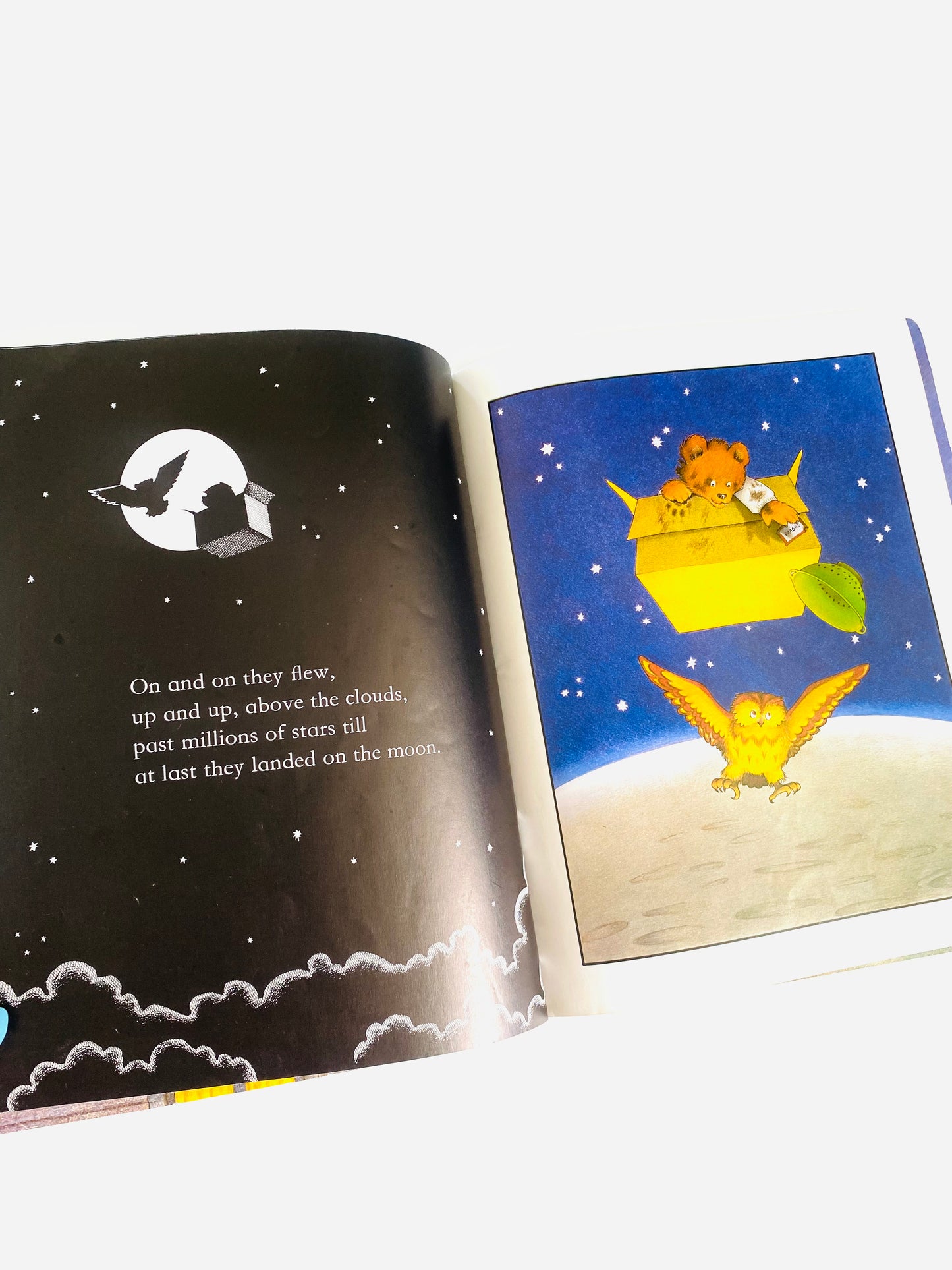 Whatever Next! Book