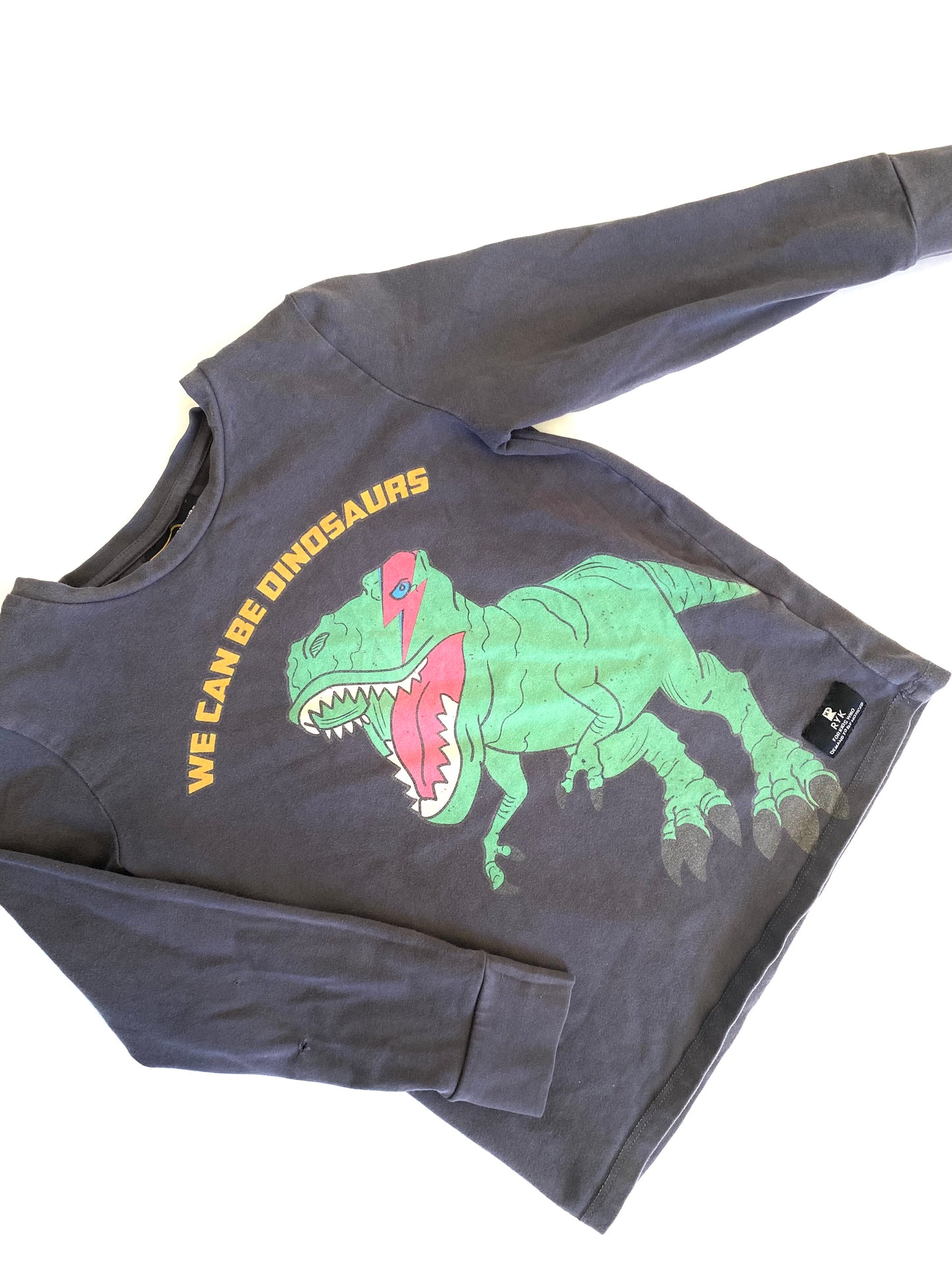 Rock Your Kid We Can Be Dinosaurs Tee (4YR)