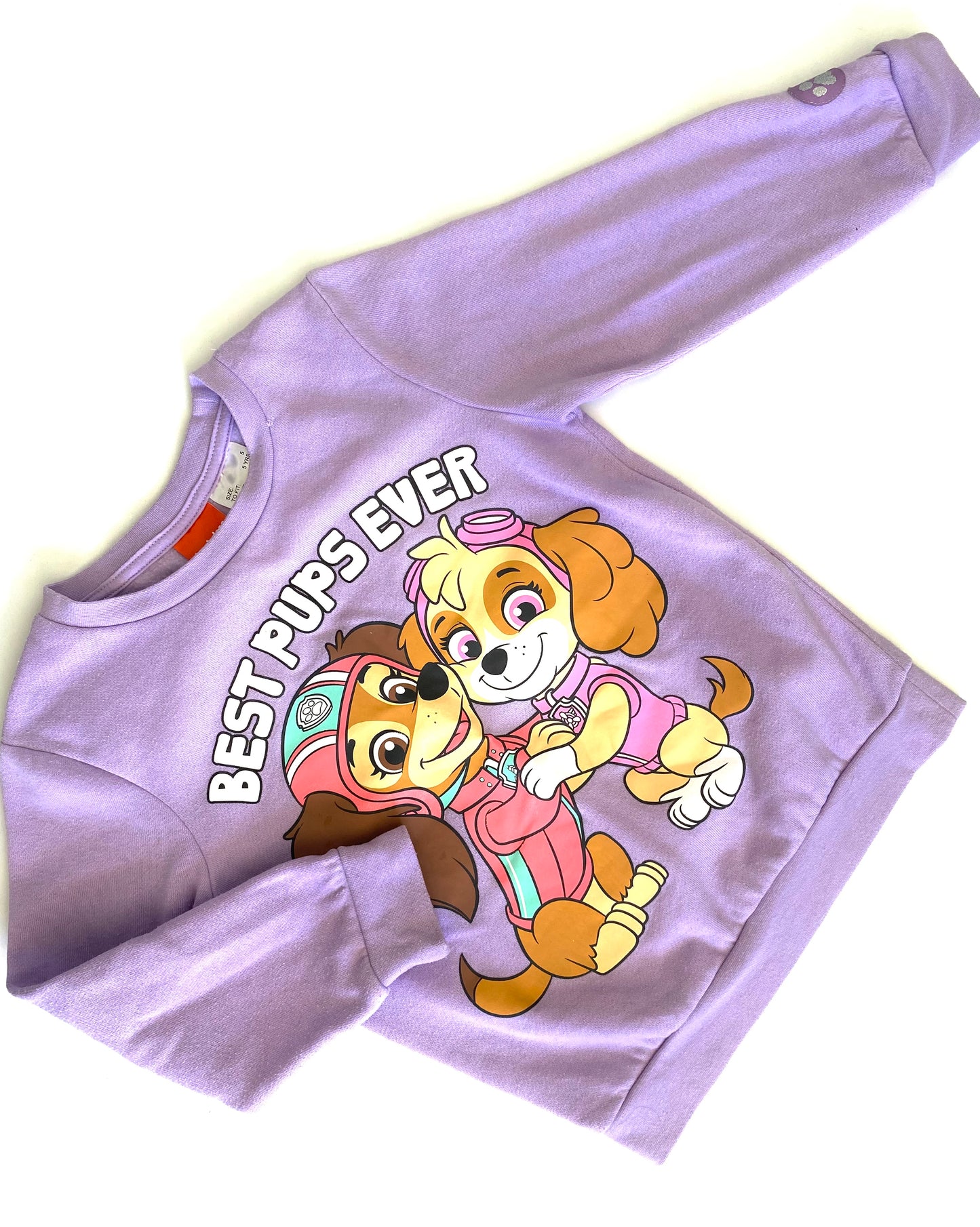 Paw Patrol Best Pups Ever Crew (5YR)