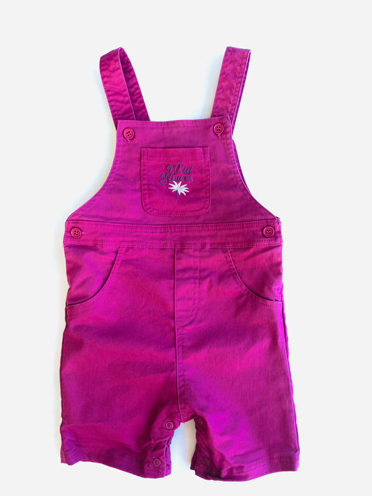 Teeny Weeny Wildflower Shortalls (2YR)